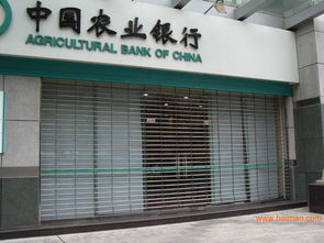 石家庄不锈钢卷闸门 天顺不锈钢电动卷闸门窗厂,石家庄不锈钢卷闸门 天顺不锈钢电动卷闸门窗厂生产厂家,石家庄不锈钢卷闸门 天顺不锈钢电动卷闸门窗厂价格